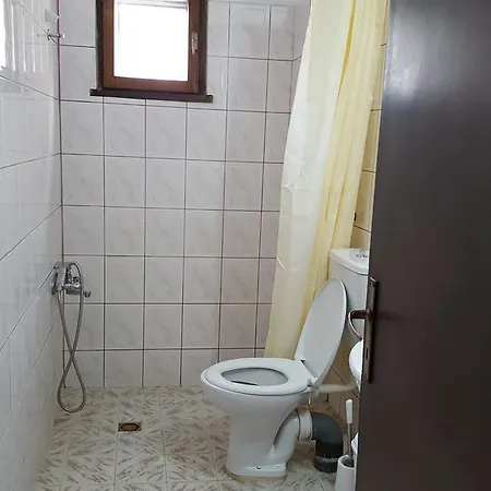 Alex Hostel *